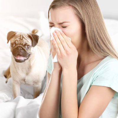 Hidden Allergies Can Negatively Affect You